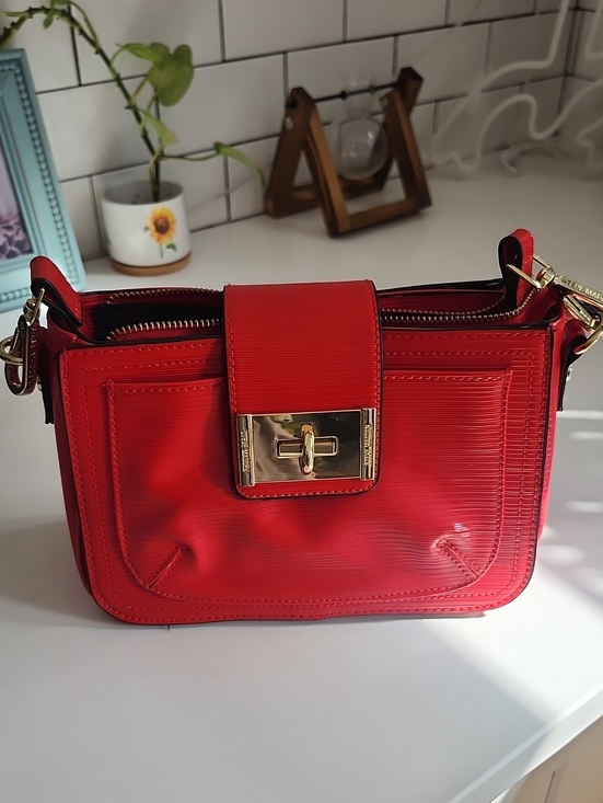 Steve Madden Handbags - Steve Madden Red Crossbody Bag with Gold Hardware